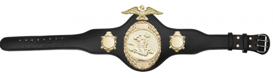 MMA CHAMPIONSHIP TITLE BELT-PLT288/G/MMAG-4 COLOURS